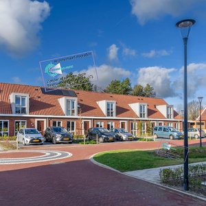 Kastanjelint 004jpg