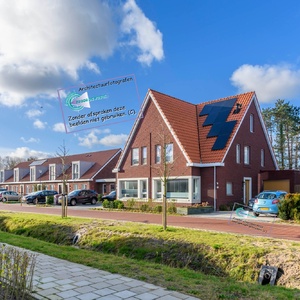 Kastanjelint 002jpg